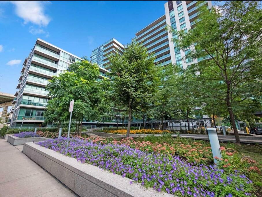 Cn Tower View With Free Parking, Pool, & More Amenities Toronto Bagian luar foto